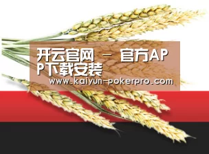 开云官网 - 官方APP下载安装