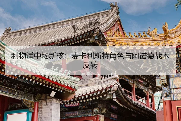 li-wu-pu-zhong-chang-xin-he-mai-ka-li-si-te-jue-se-yu-a-nuo-de-zhan-shu-fan-zhuan-3-690.jpg