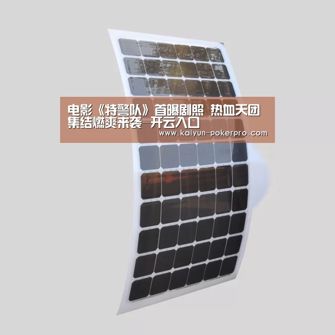 电影《特警队》首曝剧照 热血天团集结燃爽来袭-开云入口(图2) 开云下载