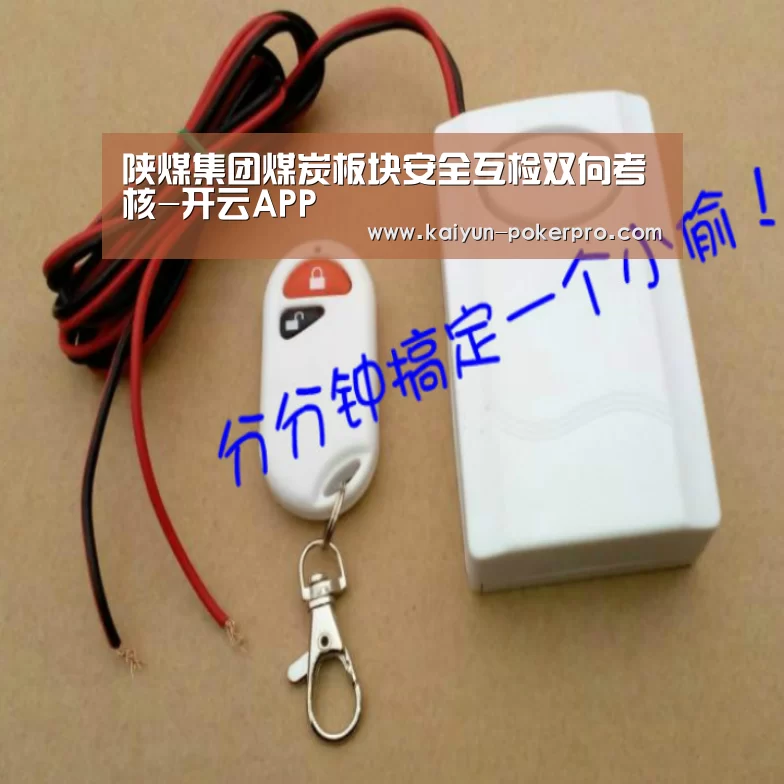 陕煤集团煤炭板块安全互检双向考核-开云APP(图1) 开云APP