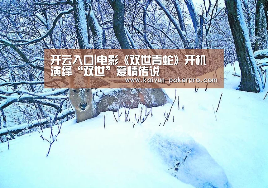 开云入口