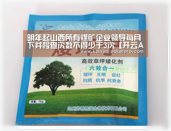明年起山西所有煤矿企业领导每月下井检查次数不得少于3次【开云APP】(图3) 开云入口