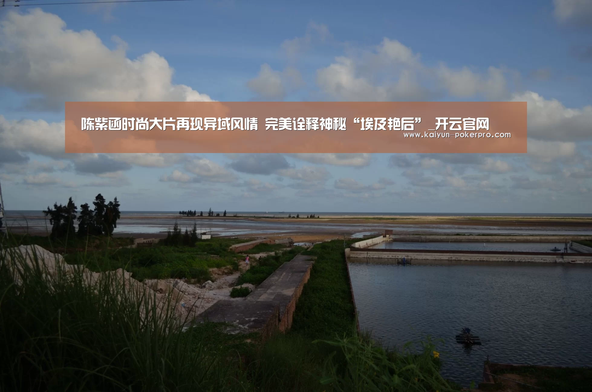 开云下载