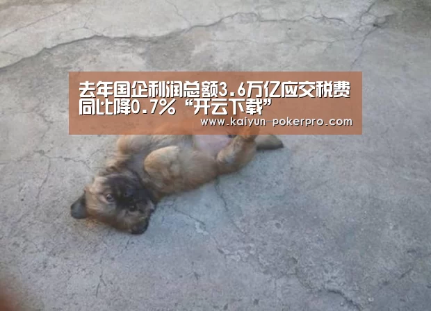 去年国企利润总额3.6万亿应交税费同比降0.7%“开云下载”(图1) 开云入口